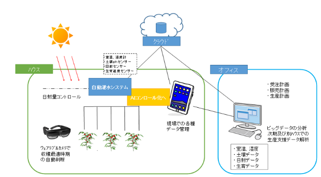 Buddy's　Farmの取り組みイメージ